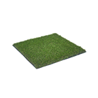 Oryzon Grass Sunset Mint   Rasen